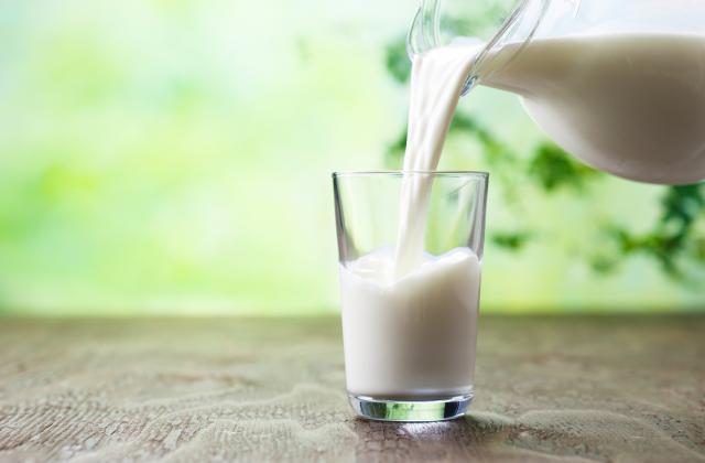 От август месец досега цената на суровото мляко в България
