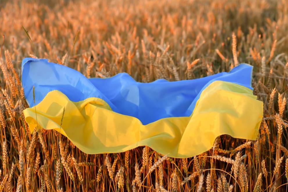 Украйна зърно