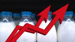 Продължаващото повишаване на крайните цени на млякото и млечните продукти