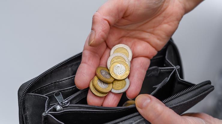 пари бедни бедност портмоне пенсия