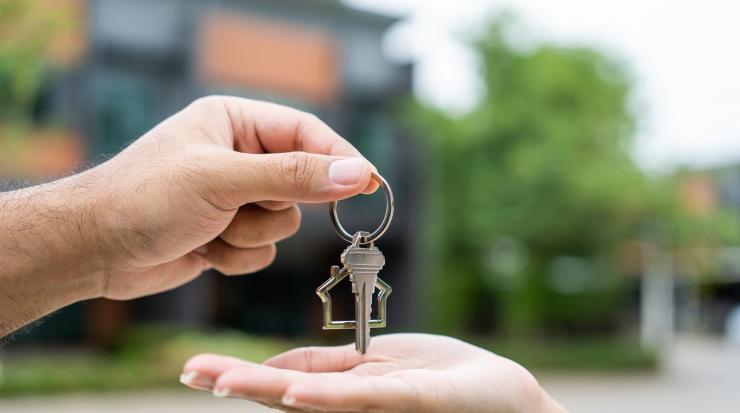 имот жилище