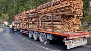 камион пожар