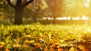 прогноза време есен