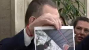 Делян Пеевски