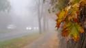 мъгла есен