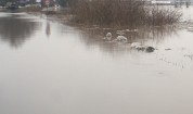 Свлачище блокира пътя Смолян-Мугла заради дъжда