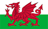 Wales: League Cup