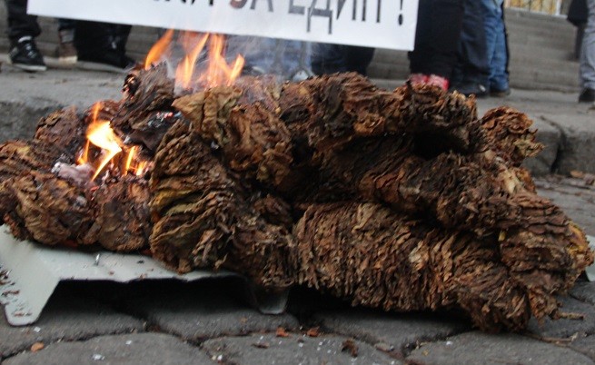 Тютюнопроизводителите продължават с протестите