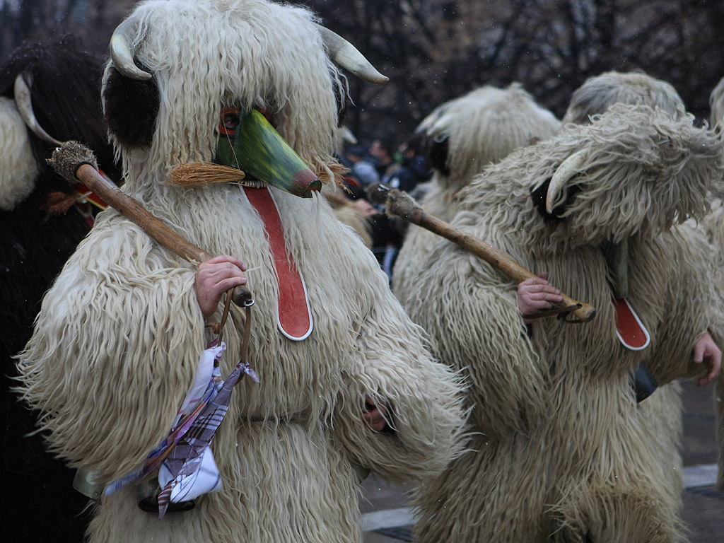 Международен фестивал на маскарадните игри, "Сурва 2014" гр. Перник