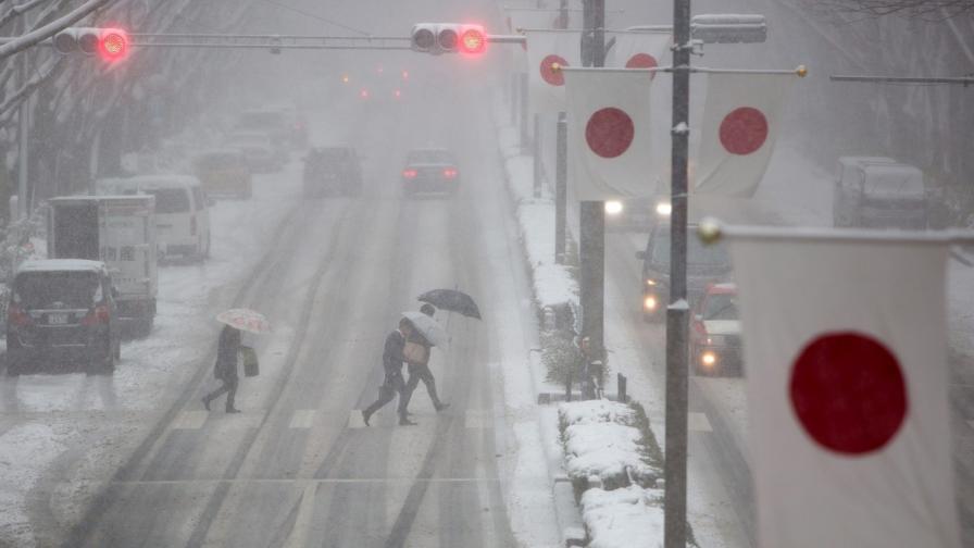Бурните снеговалежи в Япония взеха жертви