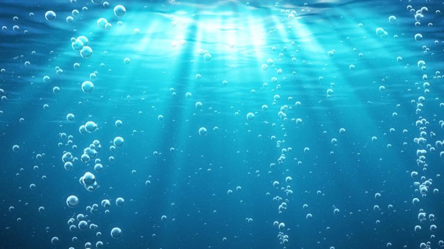 Първите животни са наситили океаните с кислород