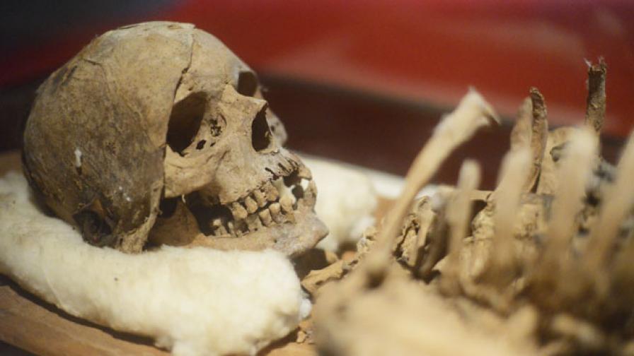 Първото предумишлено убийство на човек е отпреди 430 хил. години