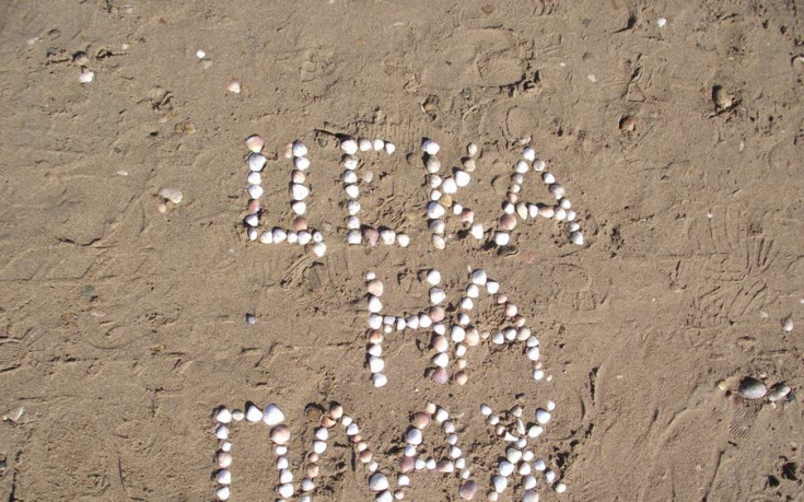 ЦСКА на плаж