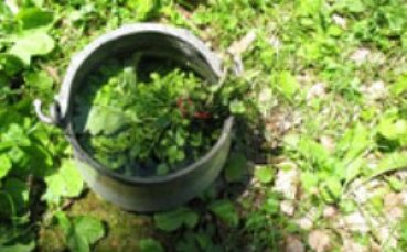 Водосвет за националите