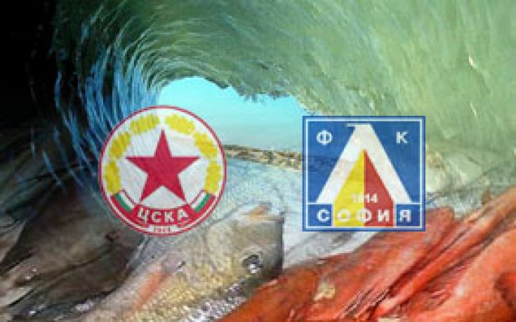 Кой как плува ще се разбере преди Никулден?