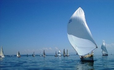 Колев: Без интелект не може в спорта между две стихии