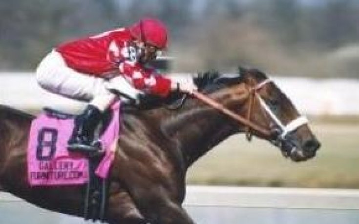 Китай може да легализира залагането на конни надбягвания