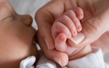 Живко стана баща, Боби - дядо, а Ники - вуйчо