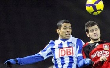 Съотборник на Домо стана вълк