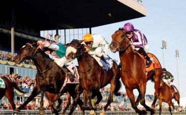 Албена отваря врати за турнира по конен спорт Златна Есен