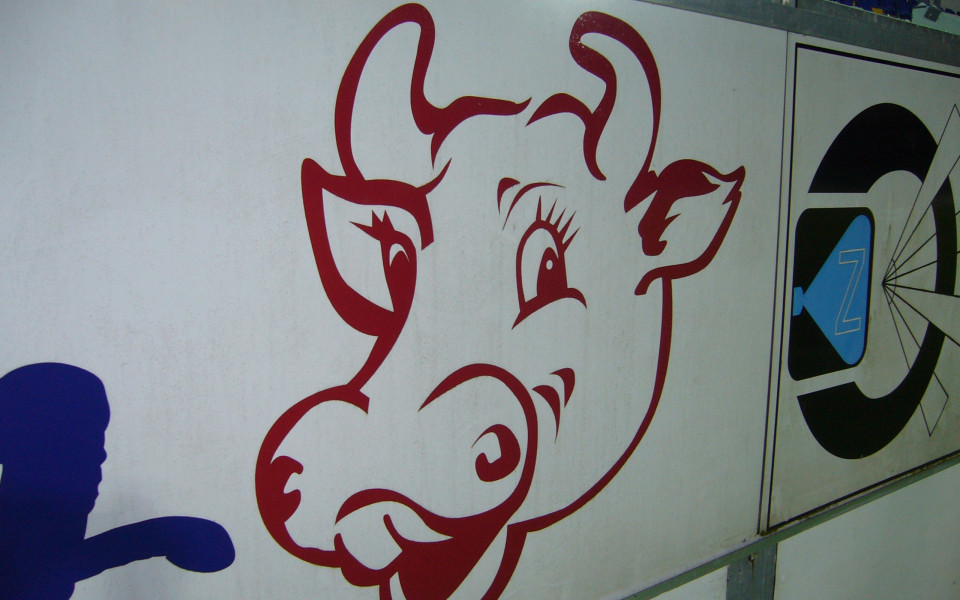 СНИМКИ: Прасе и говедо дебнат Левски на стадион „Жул Отен”