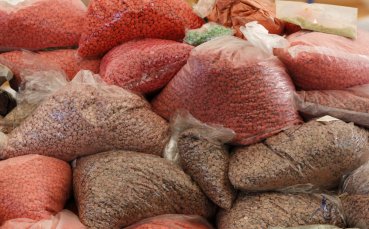 Арестуваха звезда от НБА за притежание на марихуана
