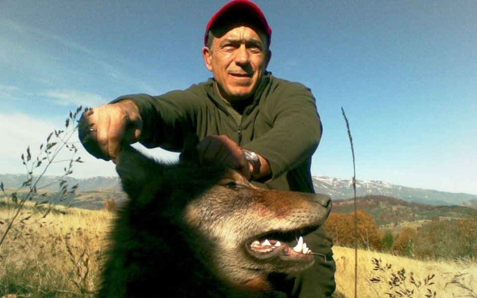 Европейски вицешампион отстреля 30-килограмов вълк