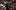ВИДЕО: 6 хиляди гледаха Родман в Арена Армеец, Харпър най-полезен в Мача на звездите