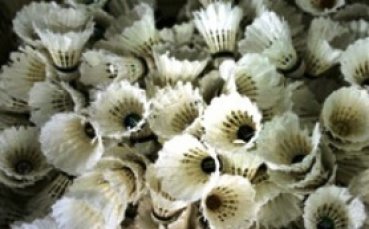 Линда Зечири на 1/2-финал на Европейското