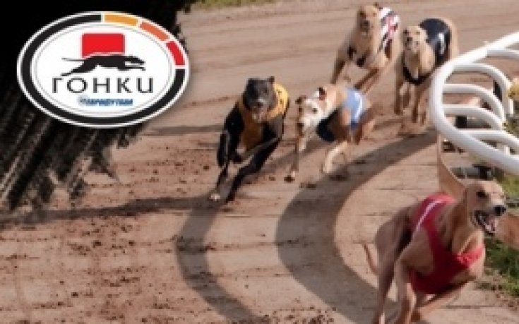 Пет печалби над 1000 лева за три дни в Еврофутбол