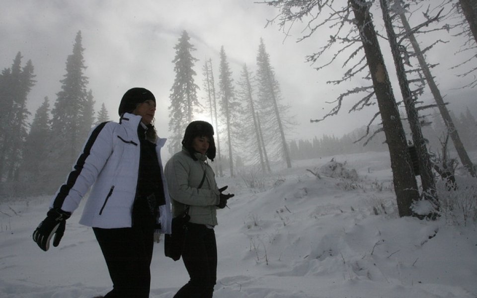 39 държави от цял свят ще отбележат Световния снежен ден