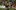 ВИДЕО: Ботев надигра Локо, но пловдивското дерби завърши без голове