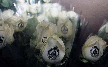 Юбилейният концерт на Славия ще се продава на DVD