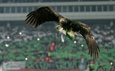 Орелът и Крисия вдигнаха настроението на 40 хиляди фенове