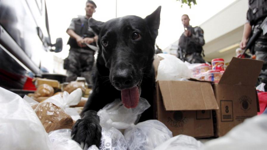 Задържаха 40 тона наркотици в Бразилия при военна операция