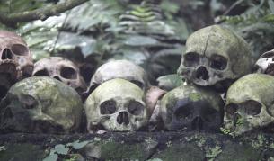 800 бебешки тела открити в масов гроб в Ирландия