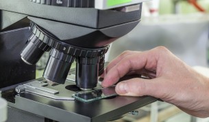 Откриха древни бактерии на 2,3 милиарда години