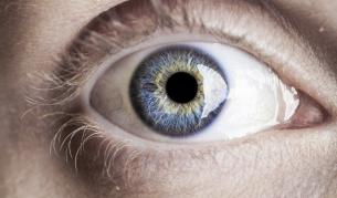 Използват стволови клетки за регенериране на роговици