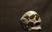 Откритие в Китай пренаписва историята: Какво ДНК носят съвременните хора