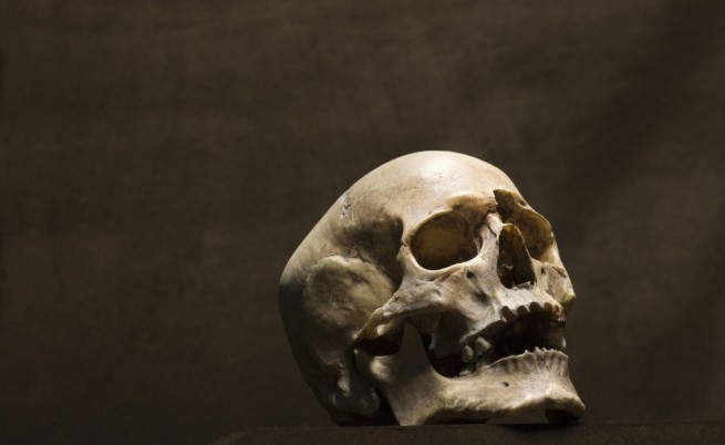 Мистериозен древен череп озадачава учените
