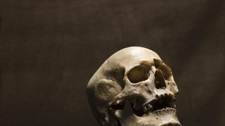 <p>Мистериозен древен череп озадачава учените</p>