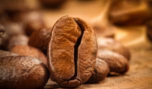 Разкриха генетичните тайни на кафето