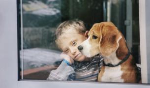 И кучетата могат да бъдат песимисти