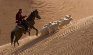 Племето навахо с обезщетение от над $500 млн.