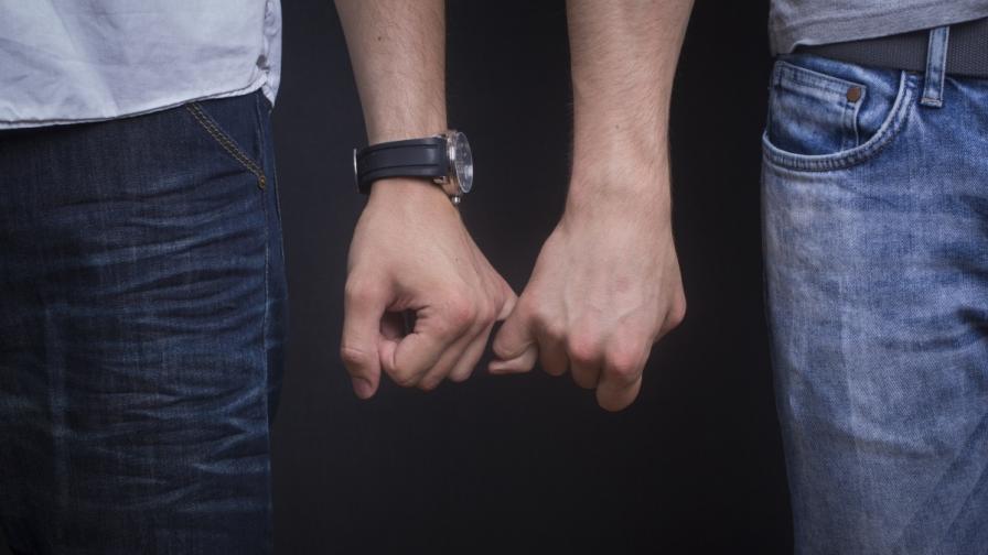 Словенците казаха „не“ на еднополовите бракове