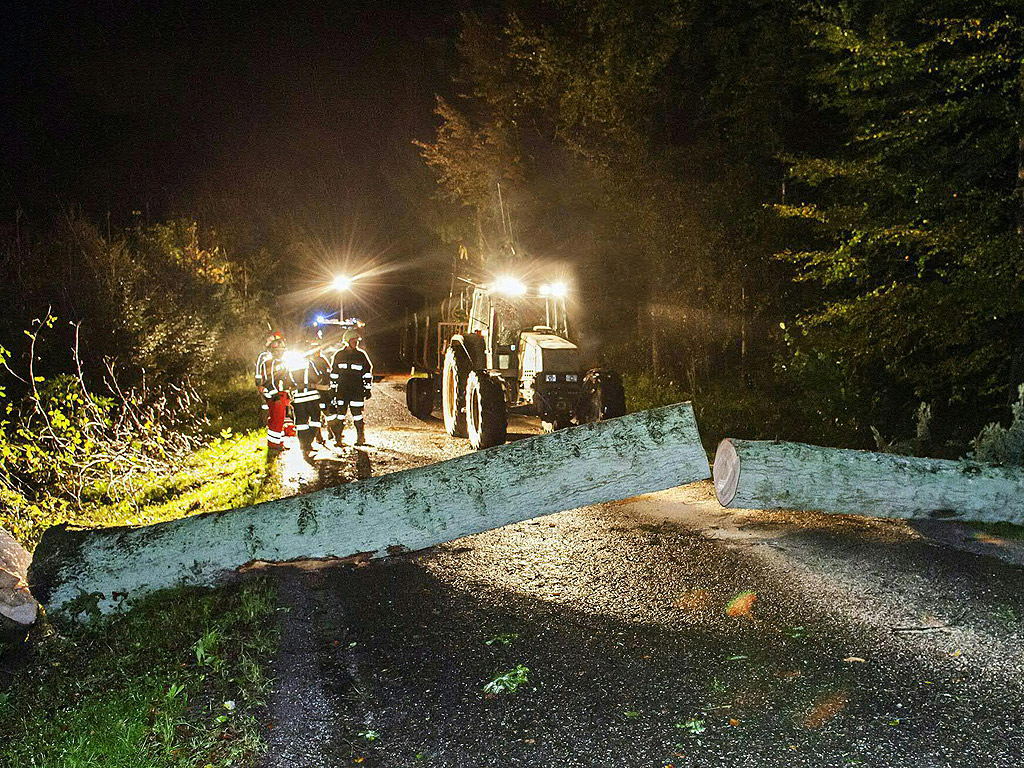 Работници режат паднало дърво в Мундерфинг, Горна Австрия. Останките от урагана Гонсало засегнаха много части на Европа