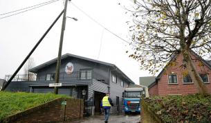 В Холандия засякоха силно патогенен щам на птичия грип