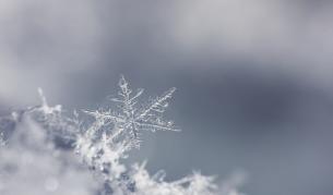 Седмицата започва с дъжд и сняг