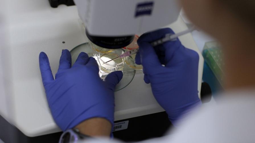 В Япония ще лекуват оплешивяване със стволови клетки