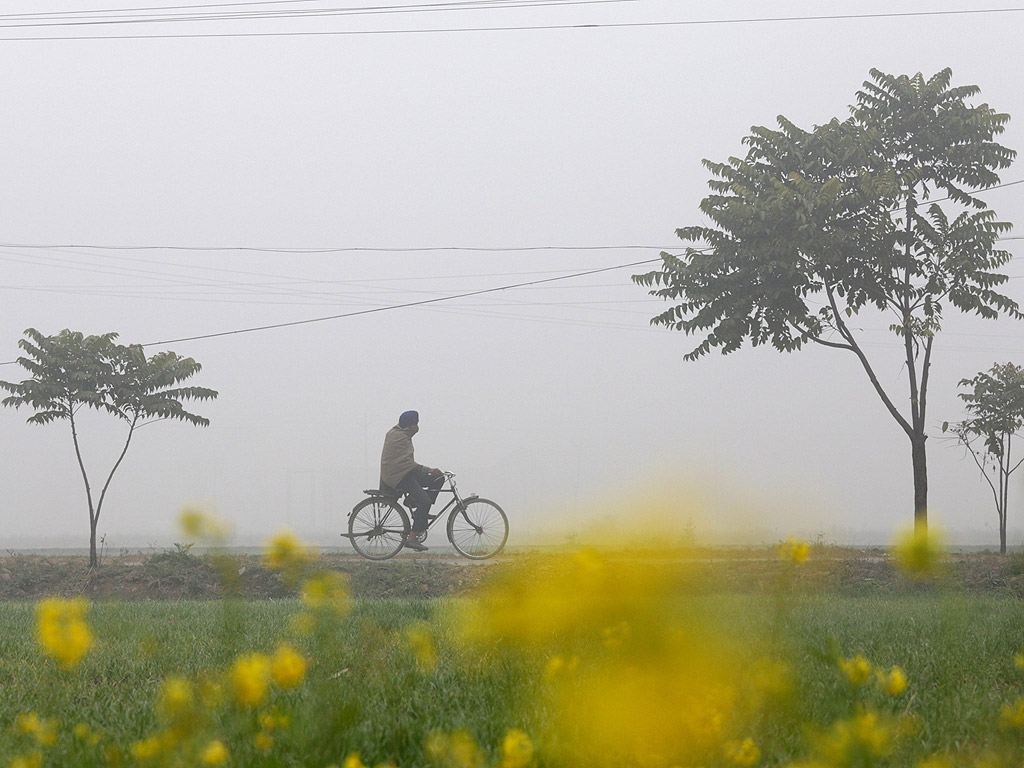Селянин кара колело в студен и мъглив следобед в село близо до Амритсар, Индия.